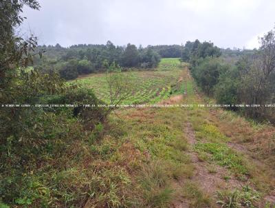 rea Rural para Venda, em Mariana Pimentel, bairro RS-711