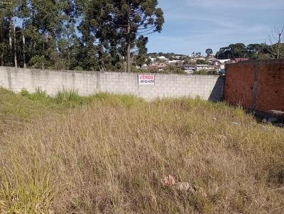 Terreno para Venda, em Almirante Tamandaré, bairro Jardim Roma