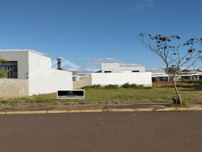 Terreno para Venda, em Toledo, bairro Bairro Pacera