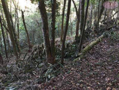 Terreno para Venda, em Ribeiro Pires, bairro Pilar Velho