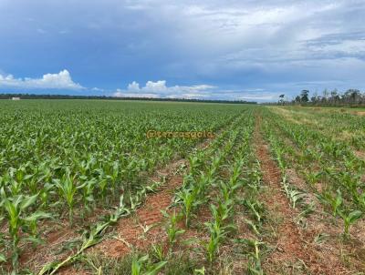 Fazenda para Locao, em Marcelndia, bairro Zona rural