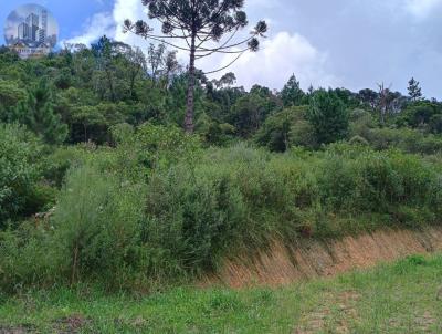 Terreno para Venda, em Anitpolis, bairro Anitpolis