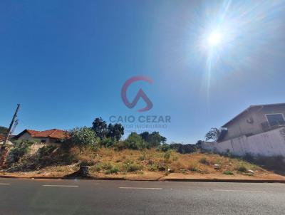 Terreno para Venda, em Barretos, bairro Centro