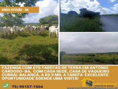 Fazenda para Venda, em Antnio Cardoso, bairro CABANA, 3 dormitrios, 2 banheiros