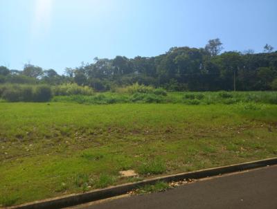 Terreno para Venda, em Ribeiro Preto, bairro Bonfim Paulista