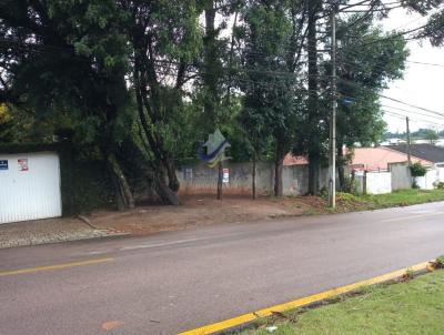 Terreno Urbano para Venda, em Curitiba, bairro Campina do Siqueira