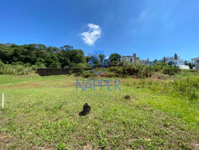Terreno para Venda, em Santa Cruz do Sul, bairro Jardim Europa