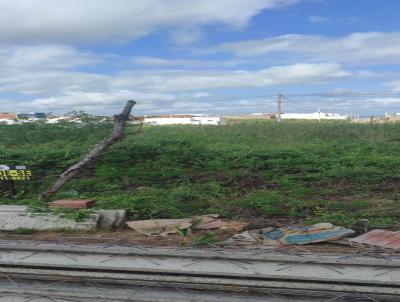 Lote para Venda, em Santa Cruz, bairro Portal So Loureno