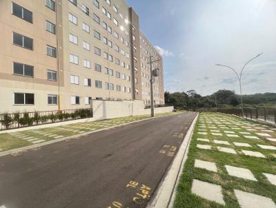 imagem-miniatura