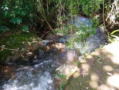 Chcara para Venda, em Sapuca-Mirim, bairro ALTO DOS PIRES