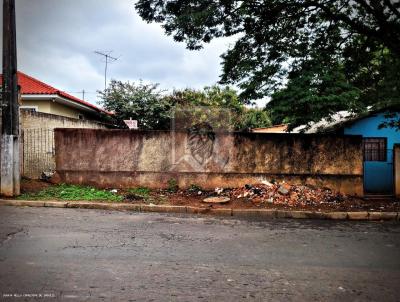 Terreno para Venda, em Jaguariava, bairro VILA NOVA