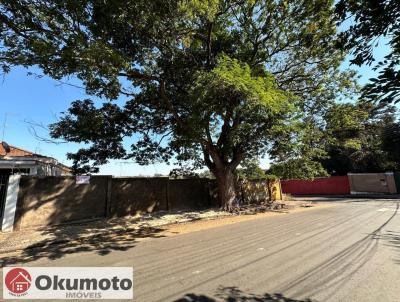 Terreno para Venda, em Pirassununga, bairro Centro