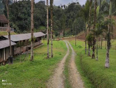 Stio / Chcara para Venda, em Massaranduba, bairro Agua Verde
