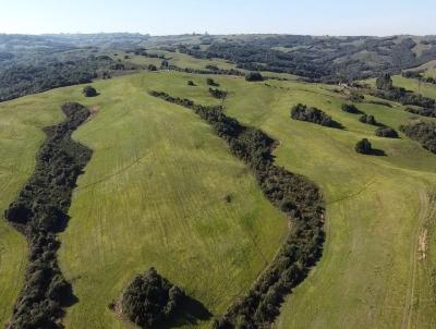 rea Rural para Venda, em Canguu, bairro 1 Distrito de Canguu