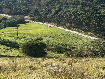 Lote para Venda, em Resende, bairro Bagagem