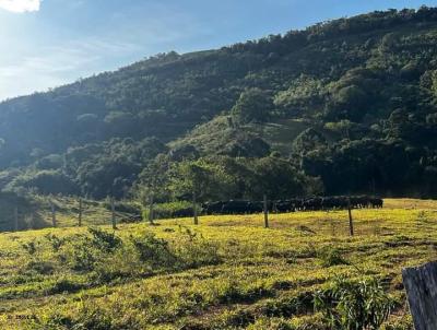 Fazenda para Venda, em Caconde, bairro Estrada