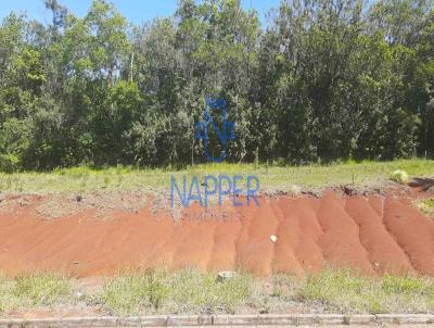 Terreno para Venda, em Santa Cruz do Sul, bairro Country