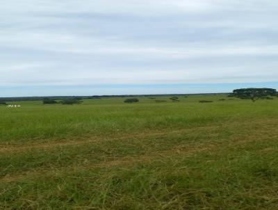 Fazenda para Venda, em Campina Verde, bairro ---