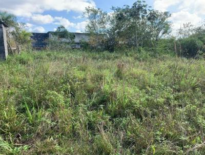 Terreno para Venda, em Itanham, bairro Jardim Maramb 1