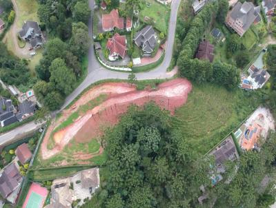 Terreno para Venda, em Campos do Jordo, bairro Vila Capivari