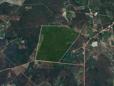 Terreno para Venda, em Cocal, bairro Zona Rural
