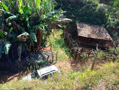 Fazenda para Venda, em Rio Pomba, bairro 26m de estrada de cho