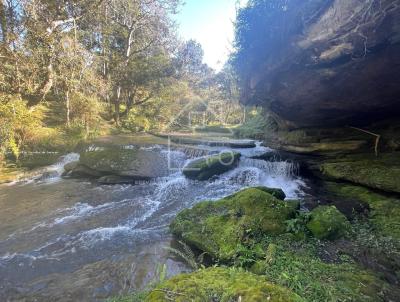 Chcara para Venda, em Rio Negrinho, bairro Rio Preto