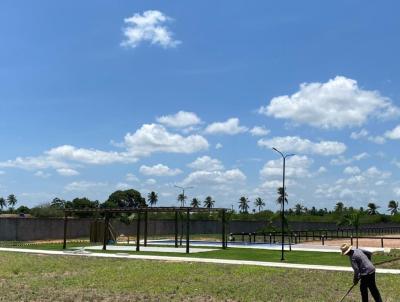 Terreno para Venda, em Monte Alegre, bairro Monte alegre