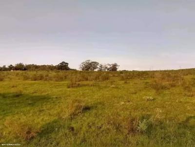Chcara para Venda, em Bag, bairro Area rural