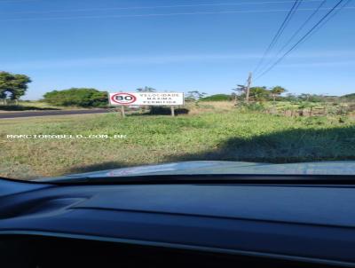 Stio / Chcara para Venda, em Santo Expedito, bairro rural