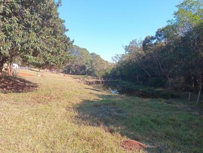 Lote para Venda, em Pouso Alegre, bairro Fazendinha a 3 km do Parque Real