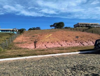 Lote para Venda, em Belmiro Braga, bairro Linhares