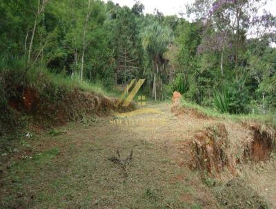 Stio para Venda, em Juiz de Fora, bairro Humait