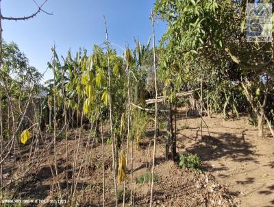 Terreno para Venda, em Pinhalzinho, bairro Zona Rural