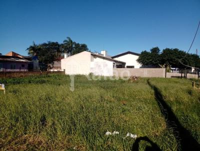 Terreno para Venda, em Osrio, bairro Centro