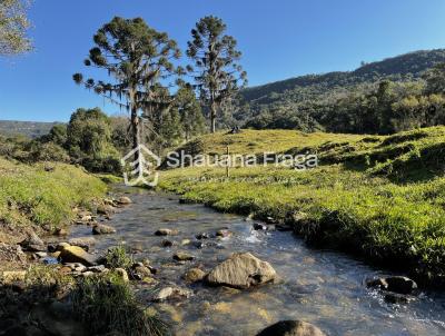 Terreno para Venda, em Rancho Queimado, bairro Mato Francs