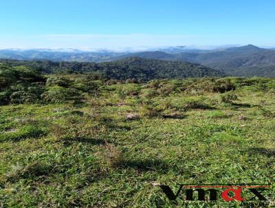 Fazenda para Venda, em Rio Branco do Sul, bairro prximo a Curitiba