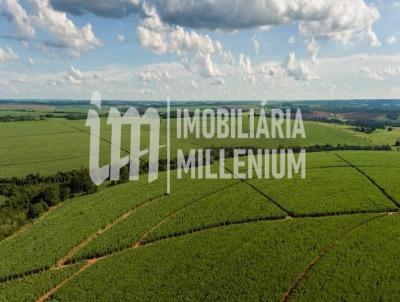 Stio para Venda, em Olmpia, bairro 