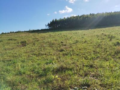 rea Rural para Venda, em Brochier, bairro interior