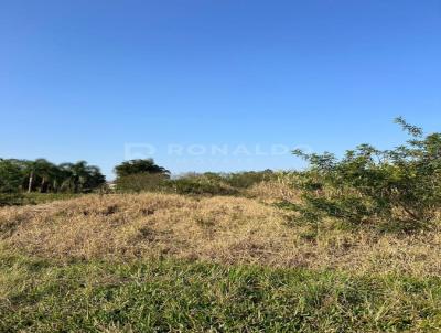 Terreno para Venda, em Nova Hartz, bairro Campo Vicente