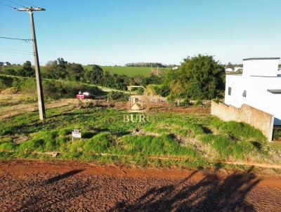 Terreno para Venda, em Santa Rosa, bairro Central