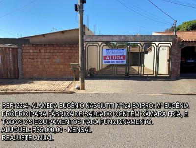 Comercial para Locao, em Araguari, bairro MARIA EUGNIA