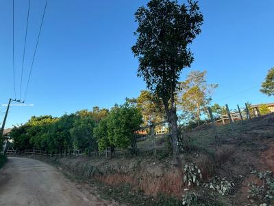 Terreno para Venda, em Imaru, bairro Centro