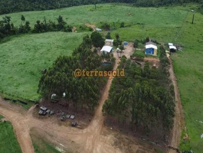 Fazenda para Venda, em Apiacs, bairro Zona rural