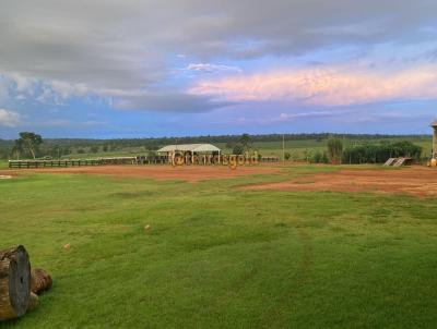 Fazenda para Venda, em Novo Progresso, bairro Zona rural