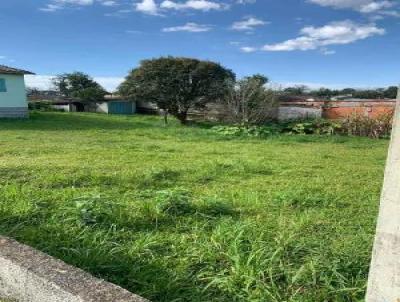 Terreno para Venda, em Cricima, bairro Rio Maina