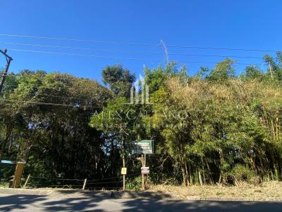 Terreno para Venda, em Florianpolis, bairro Vargem Grande