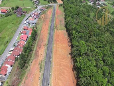 Terreno para Venda, em Pomerode, bairro Centro