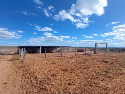 Fazenda para Venda, em Quijingue, bairro Zona Rural, 2 dormitórios, 1 banheiro