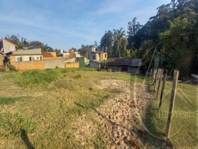 Terreno para Venda, em Florianpolis, bairro Rio Tavares